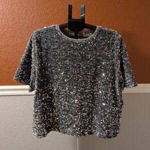 Sequin Embellished Gray Top